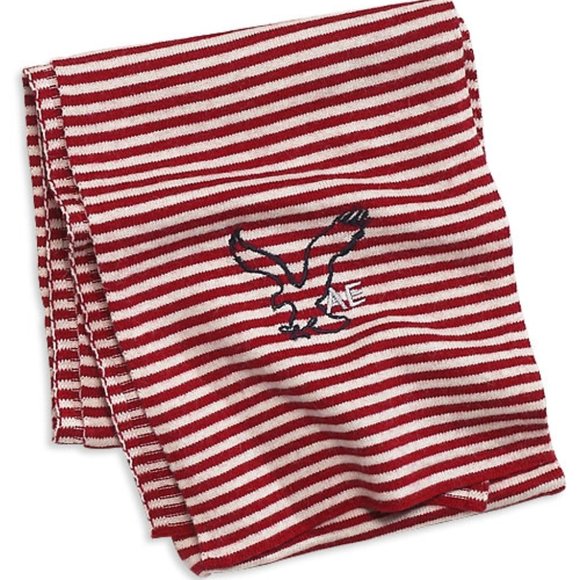 American Eagle Outfitters Accessories - AMERICAN EAGLE OUTFITTERS Scarf NWT
